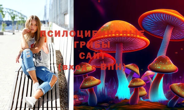 кокаин Богданович