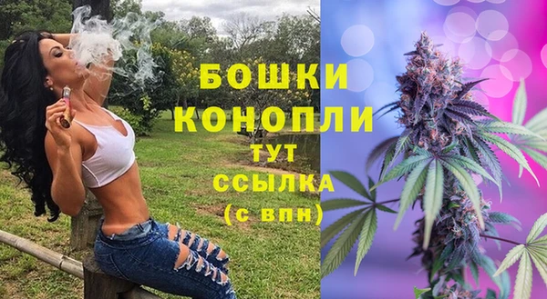 PSILOCYBIN Богородск